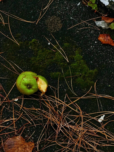 日常
積極悲觀主義