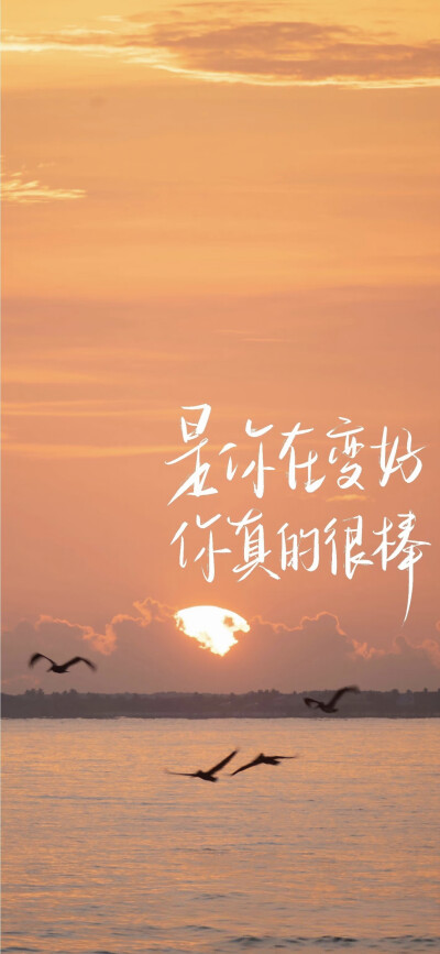 壁纸