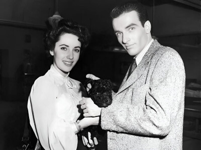 Elizabeth Taylor ​​​