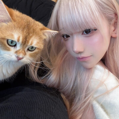 二传注明摇滚羊