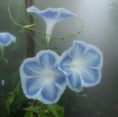 ‎#قدرات خارقة