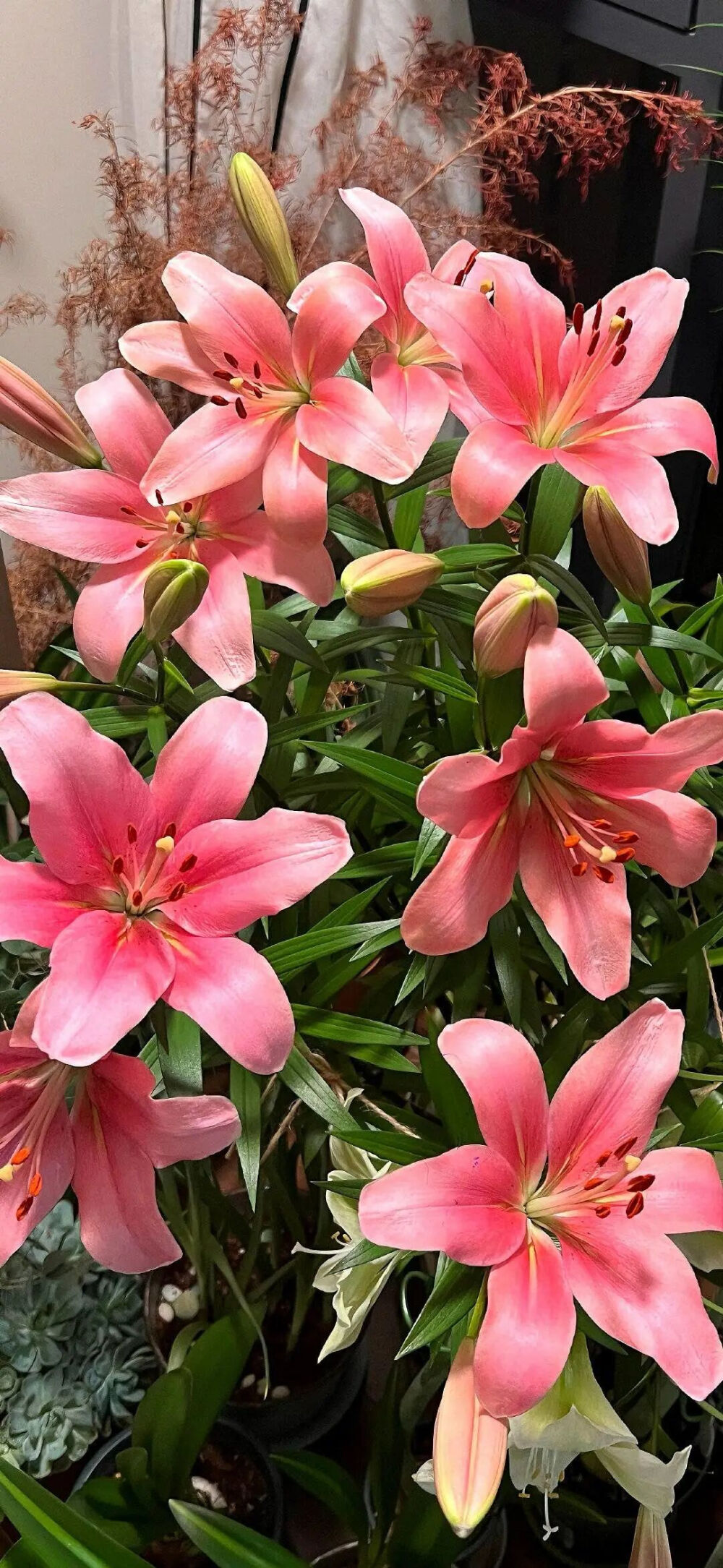 ‎#قدرات خارقة