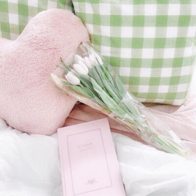 pinkgreen粉绿色美学
审美积累