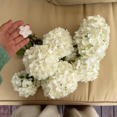 图源ks：偷喝汽水