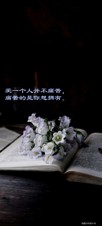 壁纸