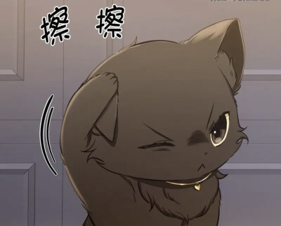猫咪疗法