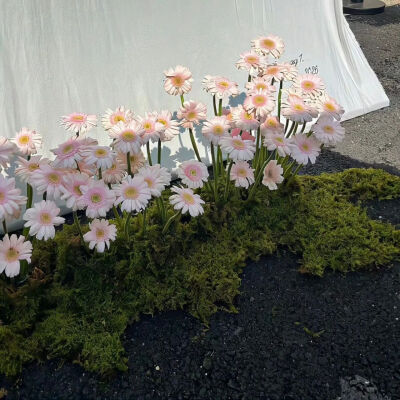 ‎#قدرات خارقة