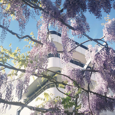 图源ks：偷喝汽水