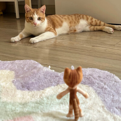 图源ks：偷喝汽水