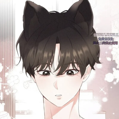 猫咪疗法
