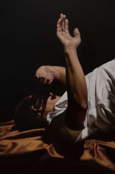 德瓦迪·哈贾布是一位阿尔及利亚出生、现居巴黎的当代艺术家。他的创作紧密结合摄影与绘画，以高度写实的油画形式展示处于极端、受约束或极具张力姿态的人体，置于形式严谨且视觉上稍带不安的室内环境中。