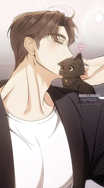 猫咪疗法