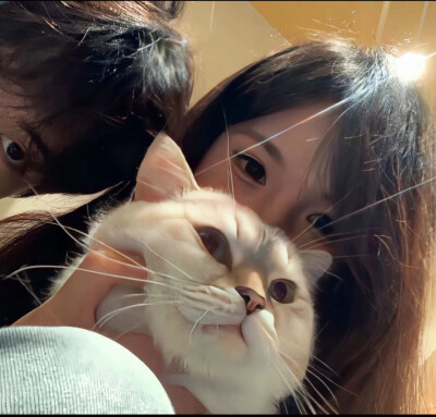 情头