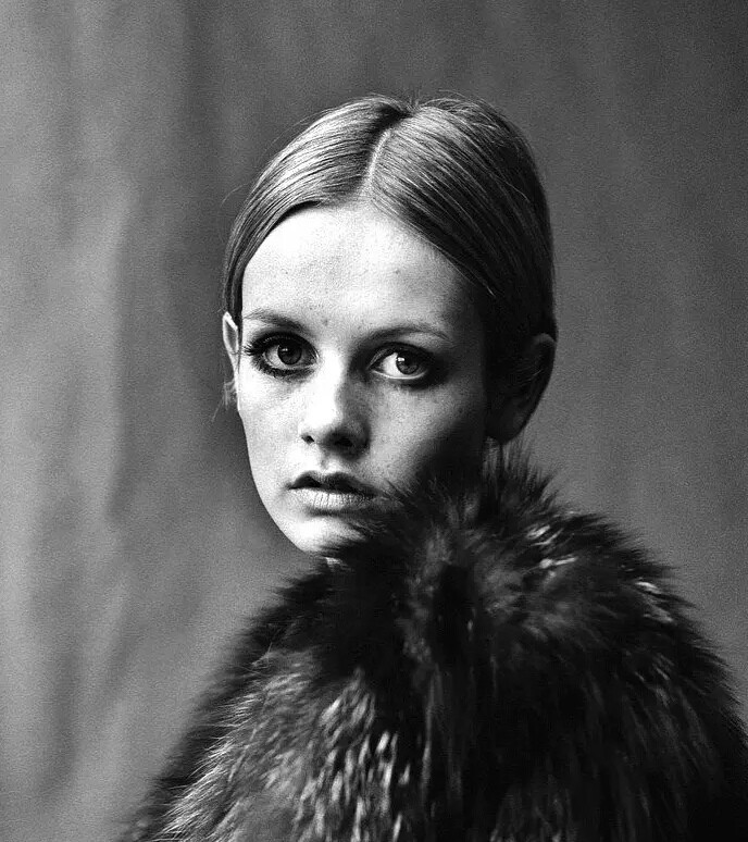 twiggy