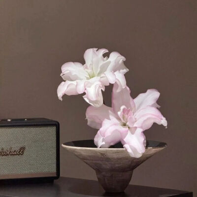 ‎#قدرات خارقة