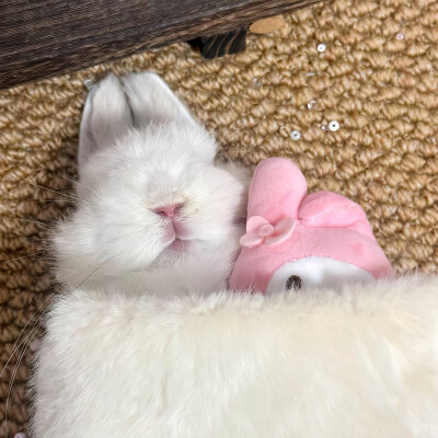 图源ks：偷喝汽水