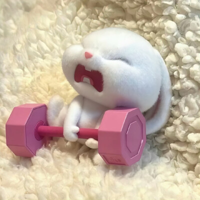 敲可爱