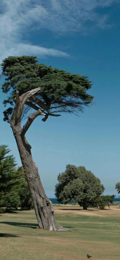 ‎#قدرات خارقة