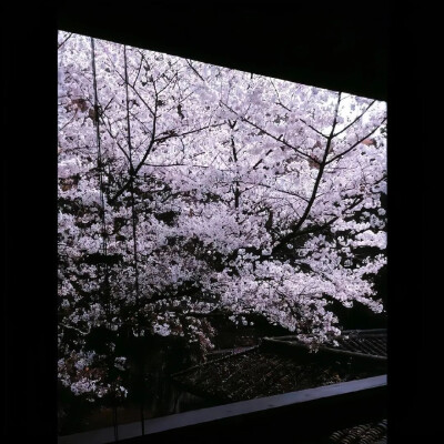ʟsᴜɴɪᴄᴏʀɴ