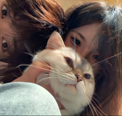 情头