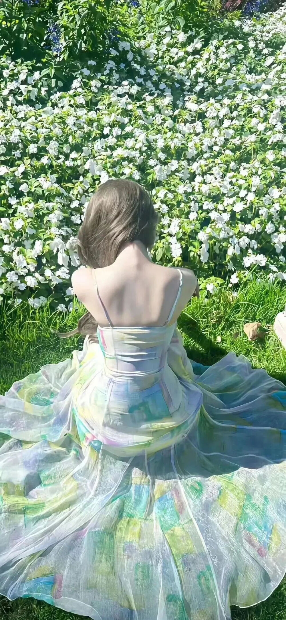 美女壁纸