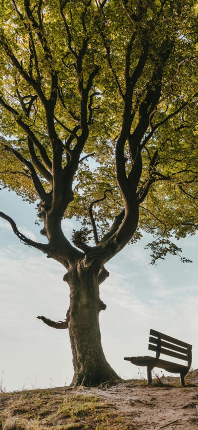 ‎#قدرات خارقة