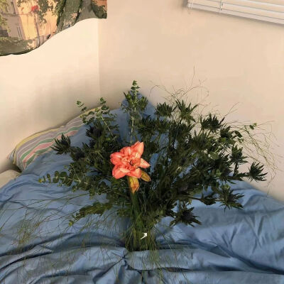 ‎#قدرات خارقة