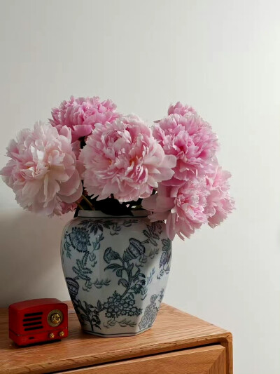 芍药