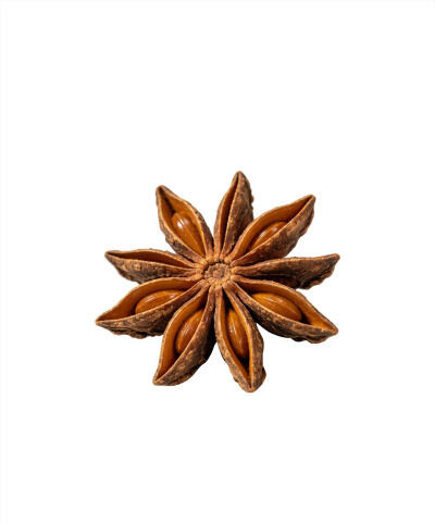 调味料白底头像