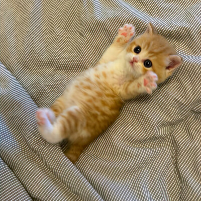 图源ks：偷喝汽水