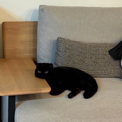 图源ks：偷喝汽水