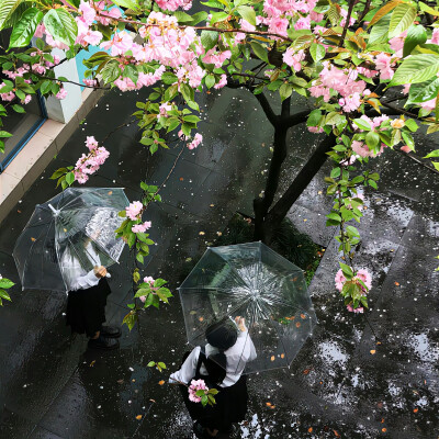 朋友圈背景图
#ins风背景图#