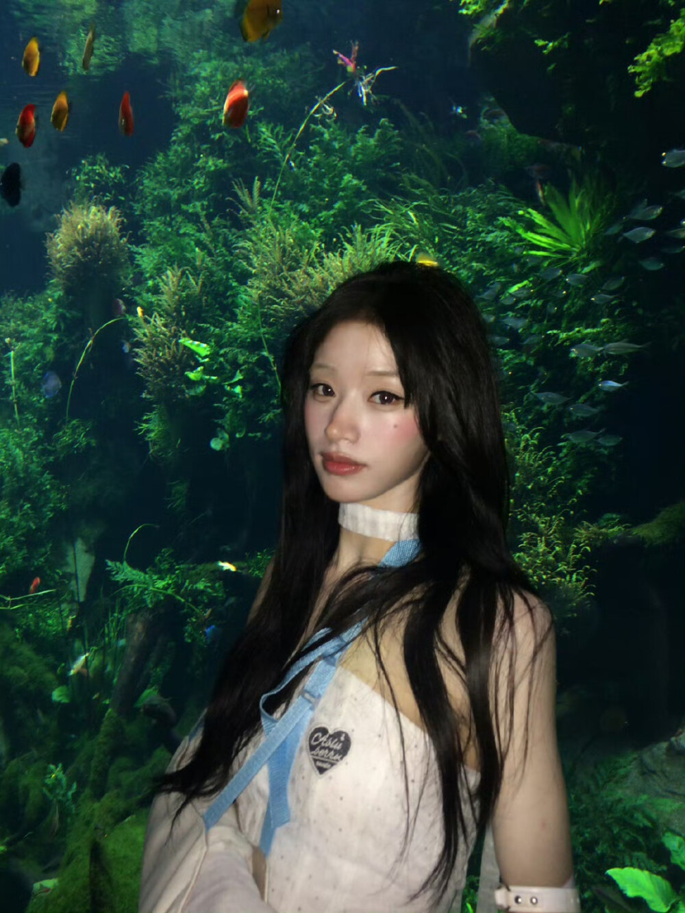 段小薇