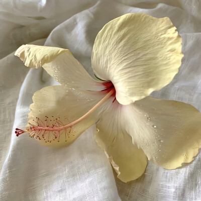 图源ks：偷喝汽水