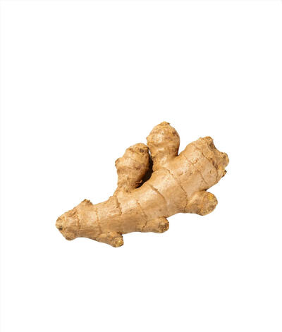 调味料白底头像