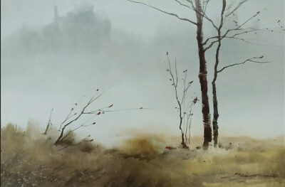 斯特林爱德华兹（Sterling Edwards）自2000年起就是全职专业艺术家。