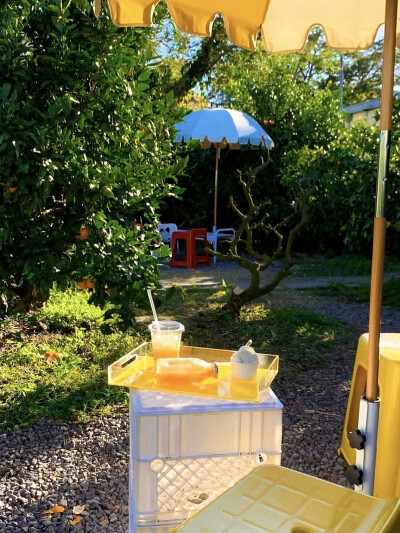 日常
拜托，在风里摇曳吧～