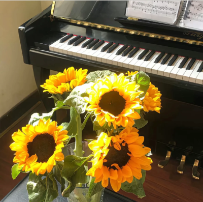 向日葵背景图 向阳而生背景图