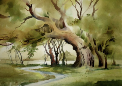 斯特林爱德华兹（Sterling Edwards）自2000年起就是全职专业艺术家。