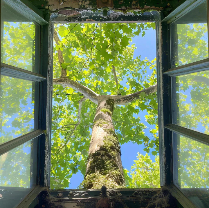 绿色系背景图 向阳而生背景图