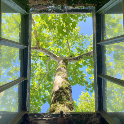 绿色系背景图 向阳而生背景图