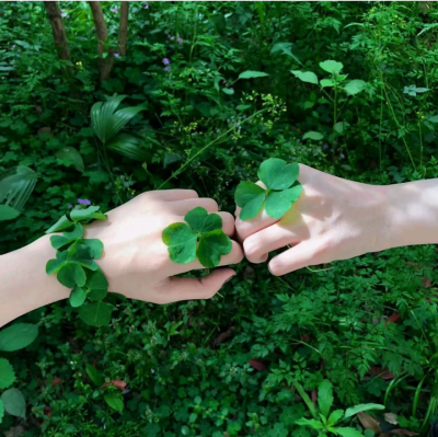 绿色系背景图 四叶草背景图