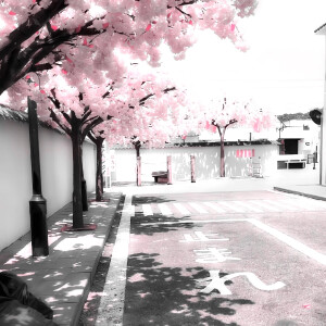 
 par Barbie说你想我了♡♫♬昨日は言わない
