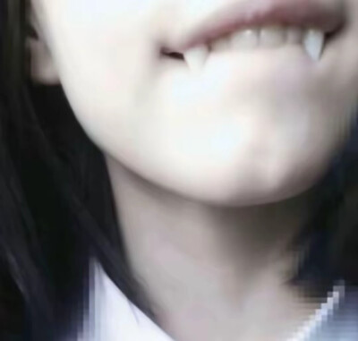 齿