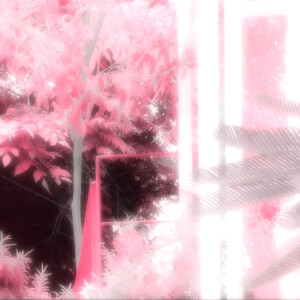 
 par Barbie说你想我了♡♫♬昨日は言わない