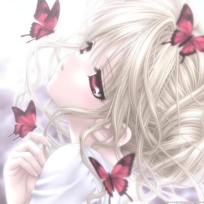 蝴蝶