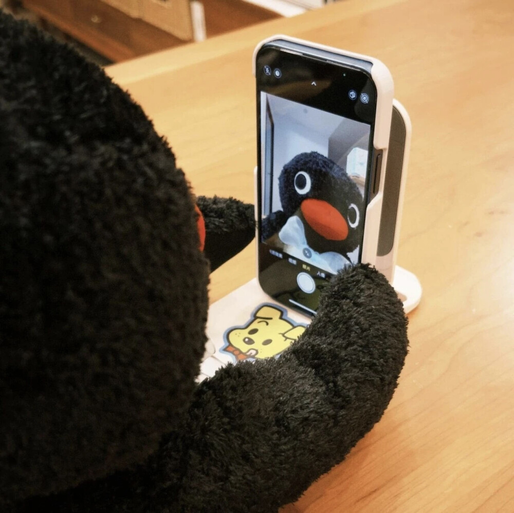 我在自拍