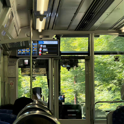 绿色系背景图 向阳而生背景图