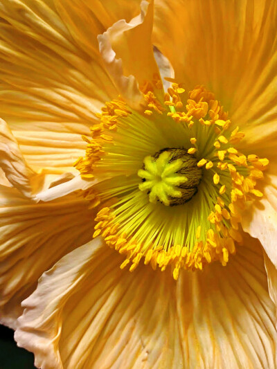 日常
拜托，在风里摇曳吧～