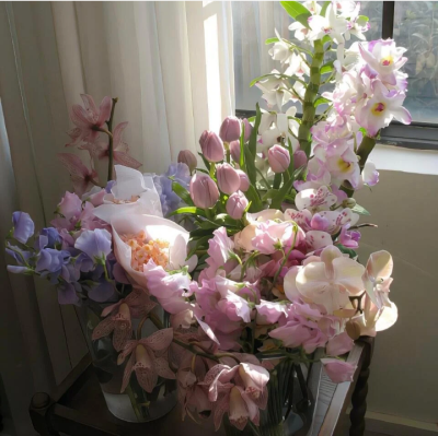 花的背景图 阳光背景图 窗户背景图